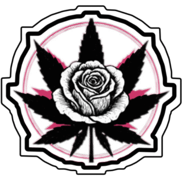 cropped-IMG_0389-2-1.png